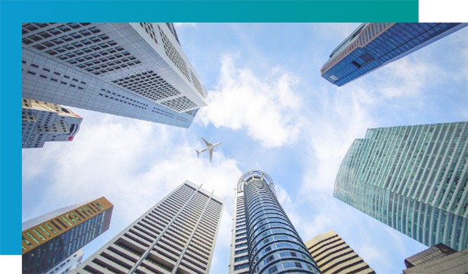 生长路径 生长路径